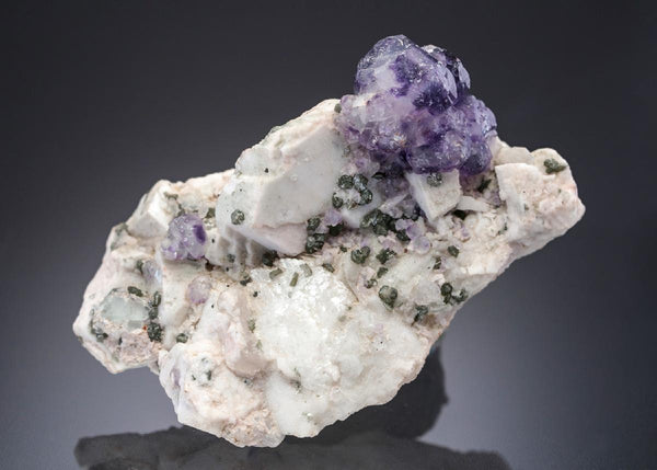 CC27307 specimen image