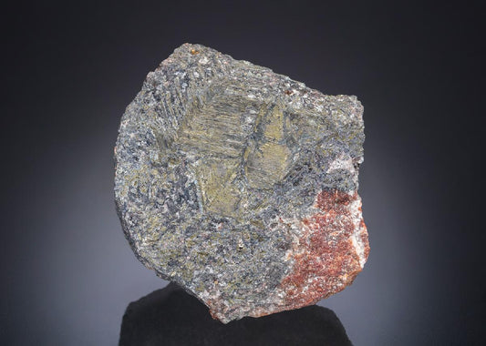 CC27317 specimen image