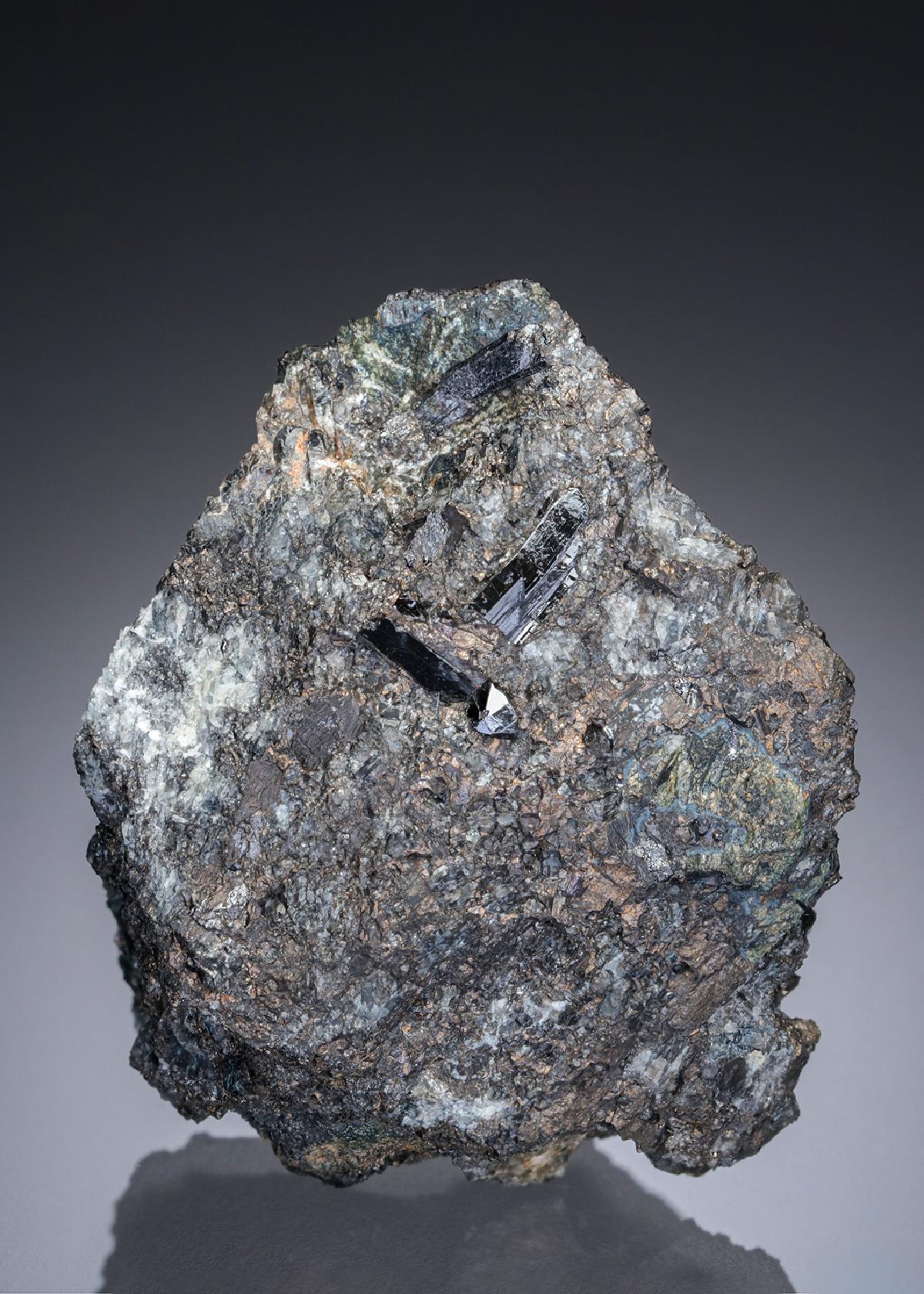 CC27329 specimen image