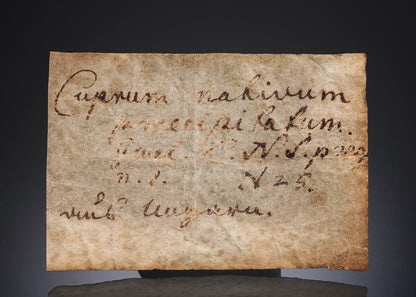 CC27335 specimen image