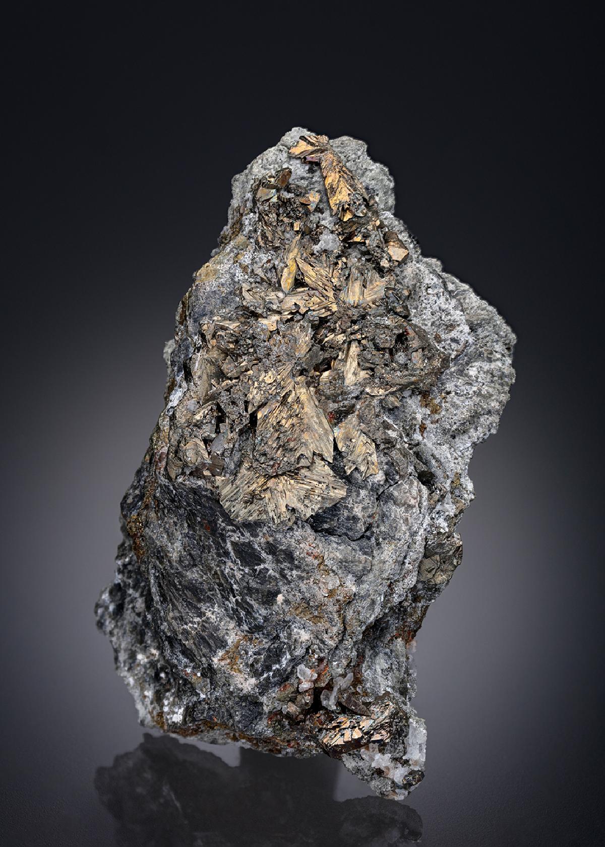 CC27341 specimen image