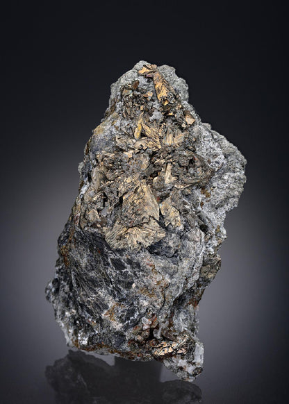 CC27341 specimen image