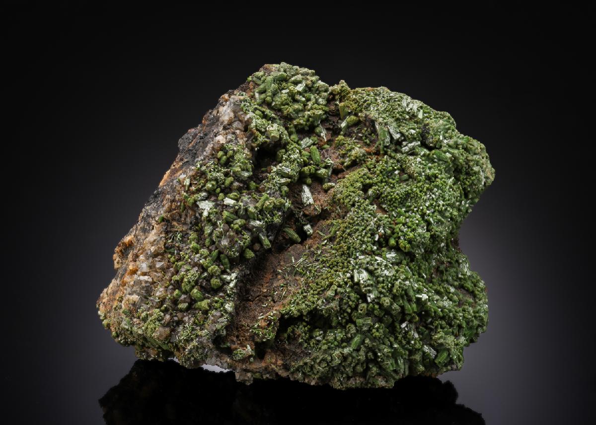CC27369 specimen image