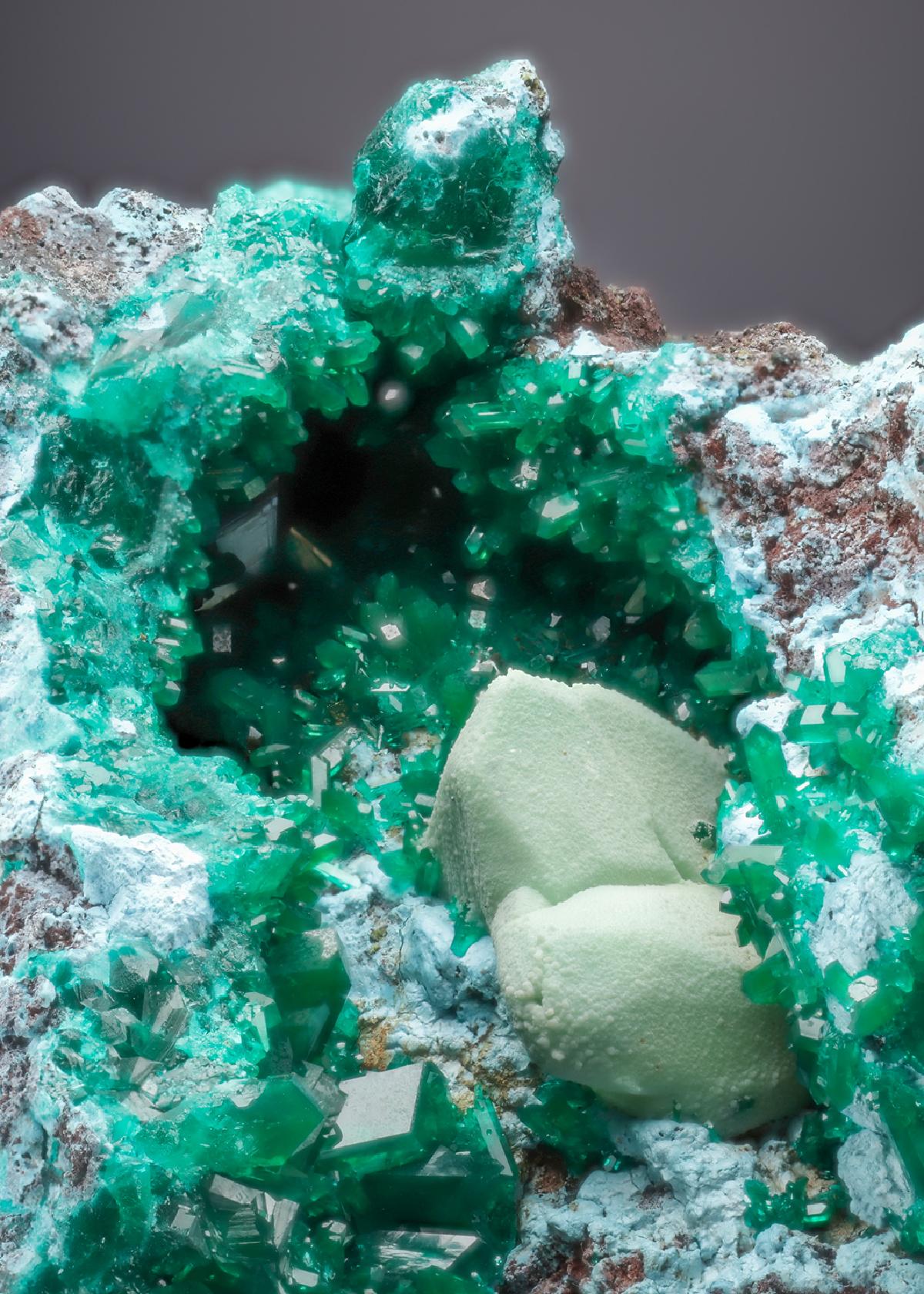 CC27371 specimen image