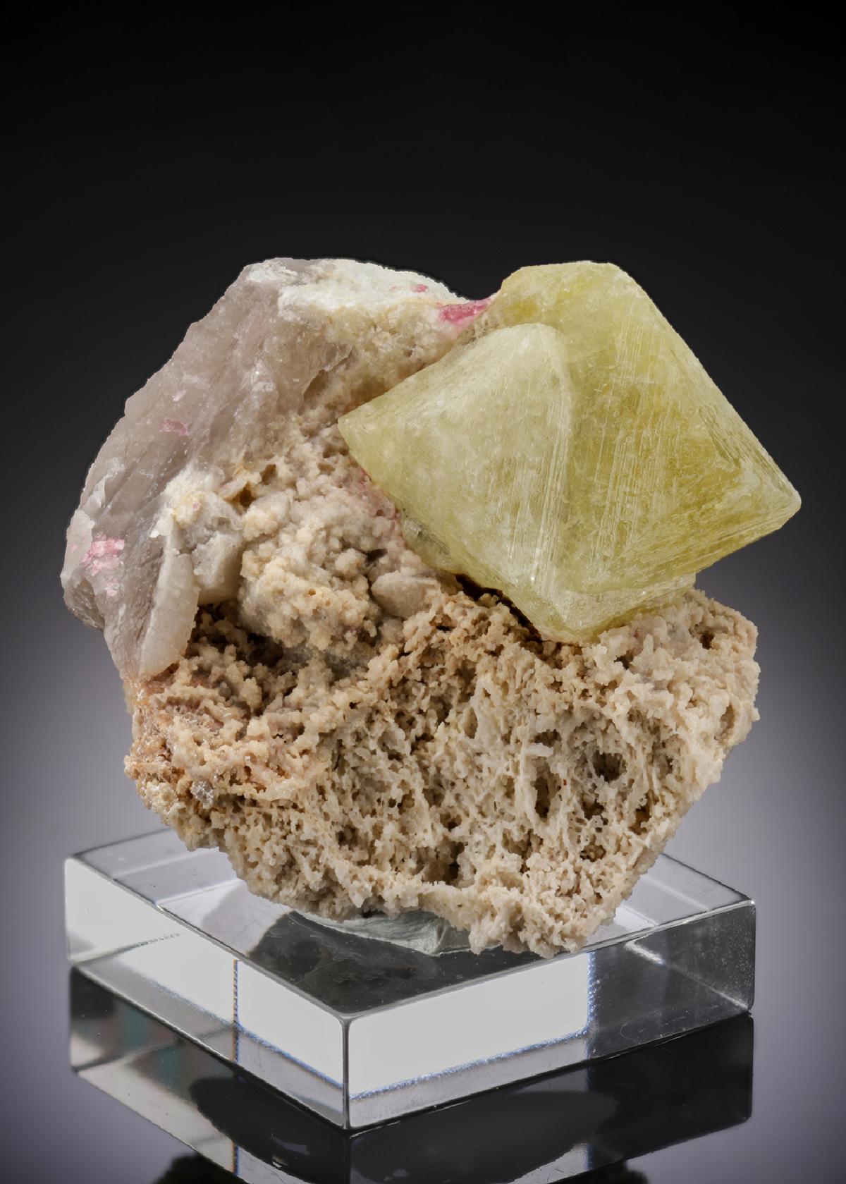 CC27373 specimen image