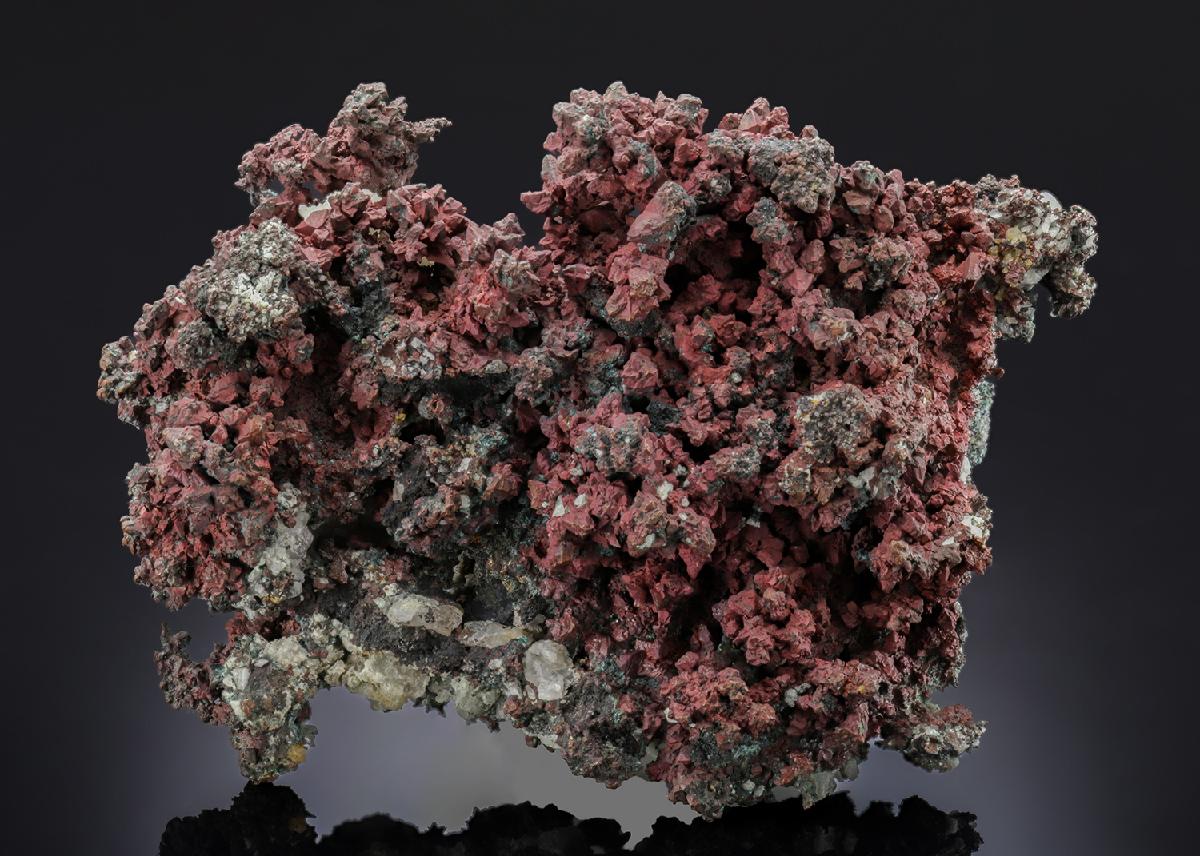 CC27385 specimen image