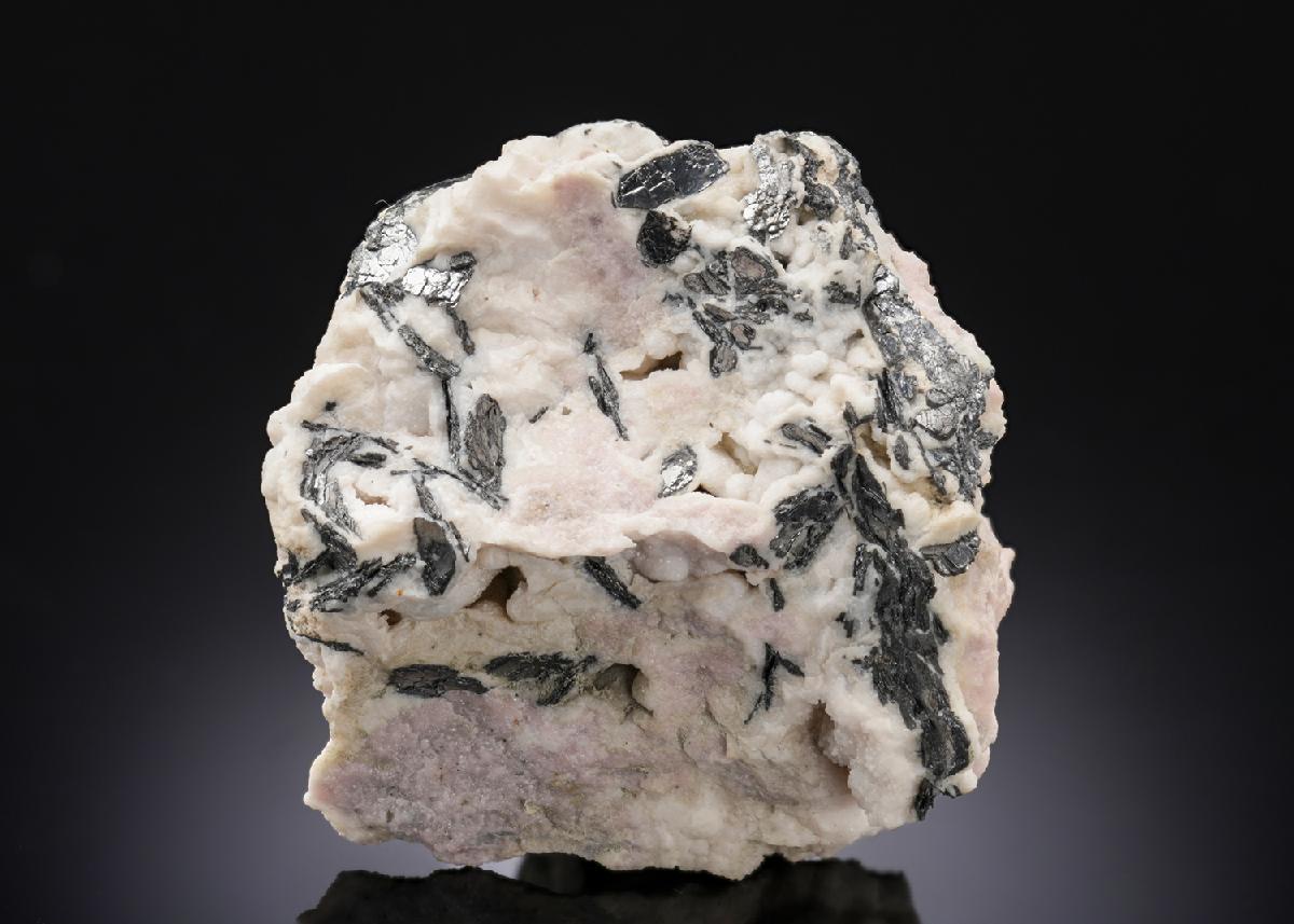 CC27387 specimen image