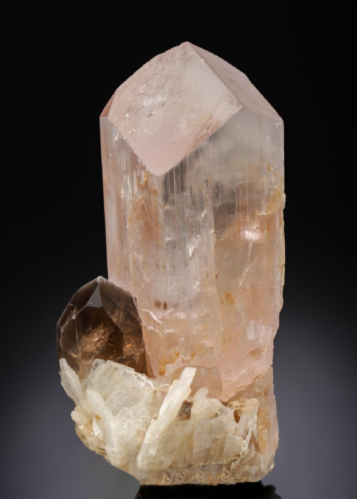 CC27389 specimen image