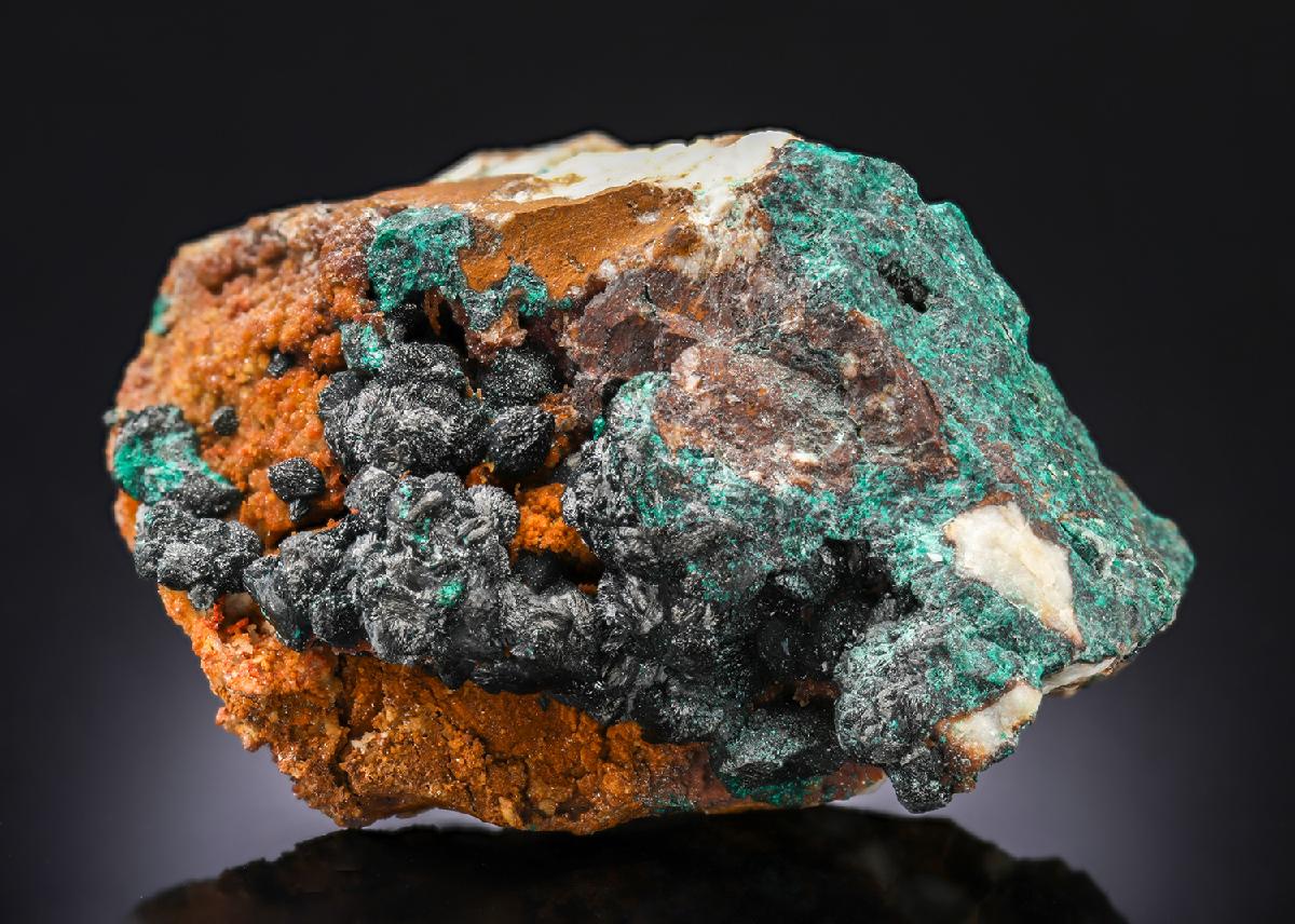 CC27397 specimen image