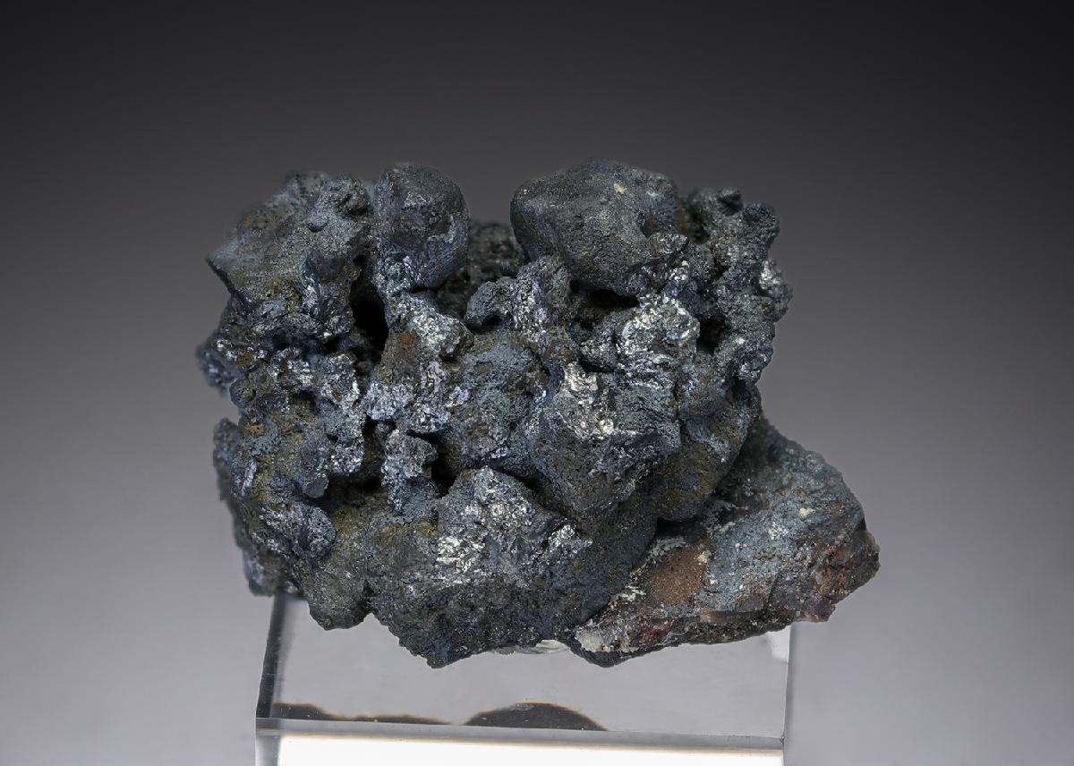 CC27411 specimen image