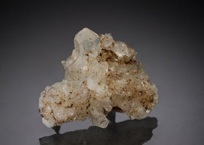 CC27415 specimen image