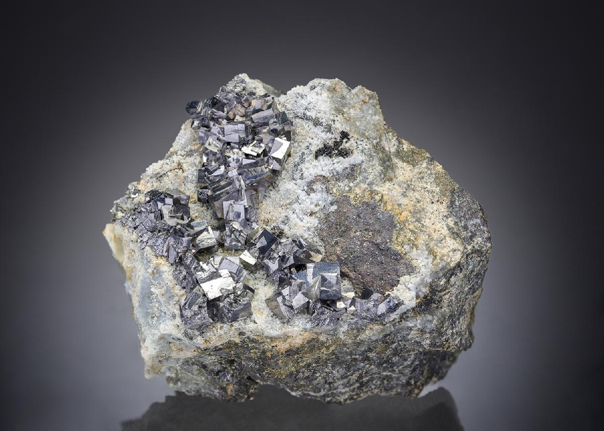 CC27419 specimen image