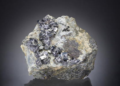 CC27419 specimen image