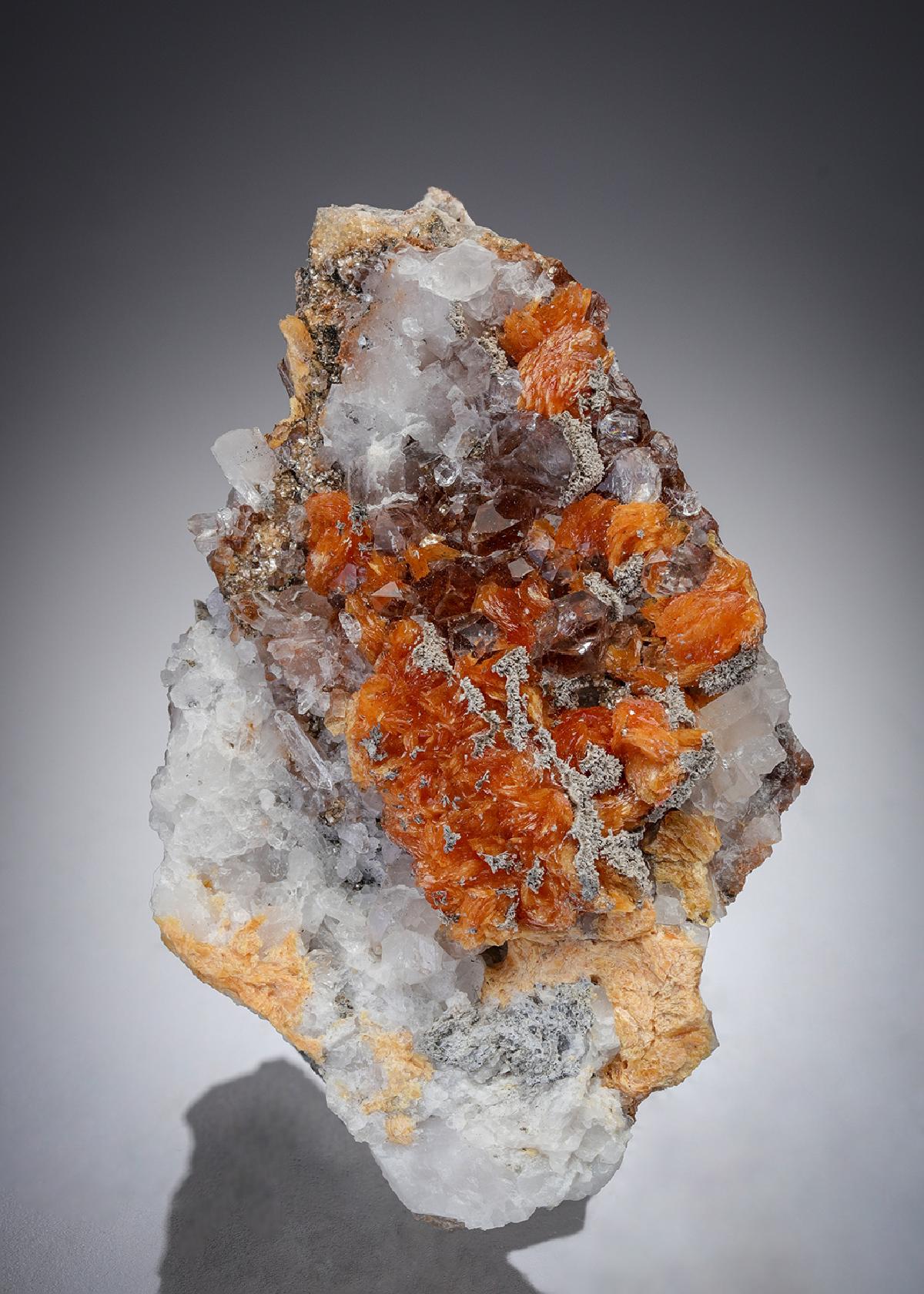 CC27423 specimen image