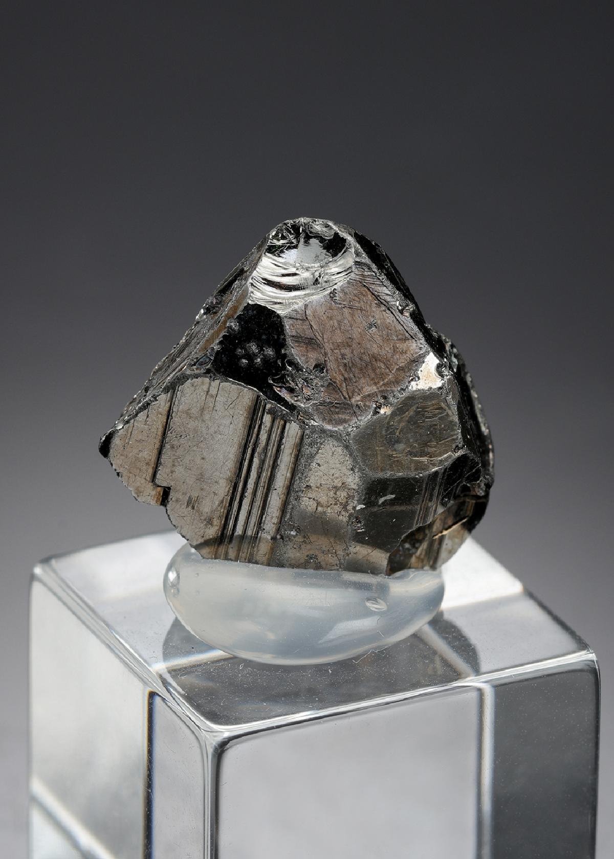 CC27429 specimen image