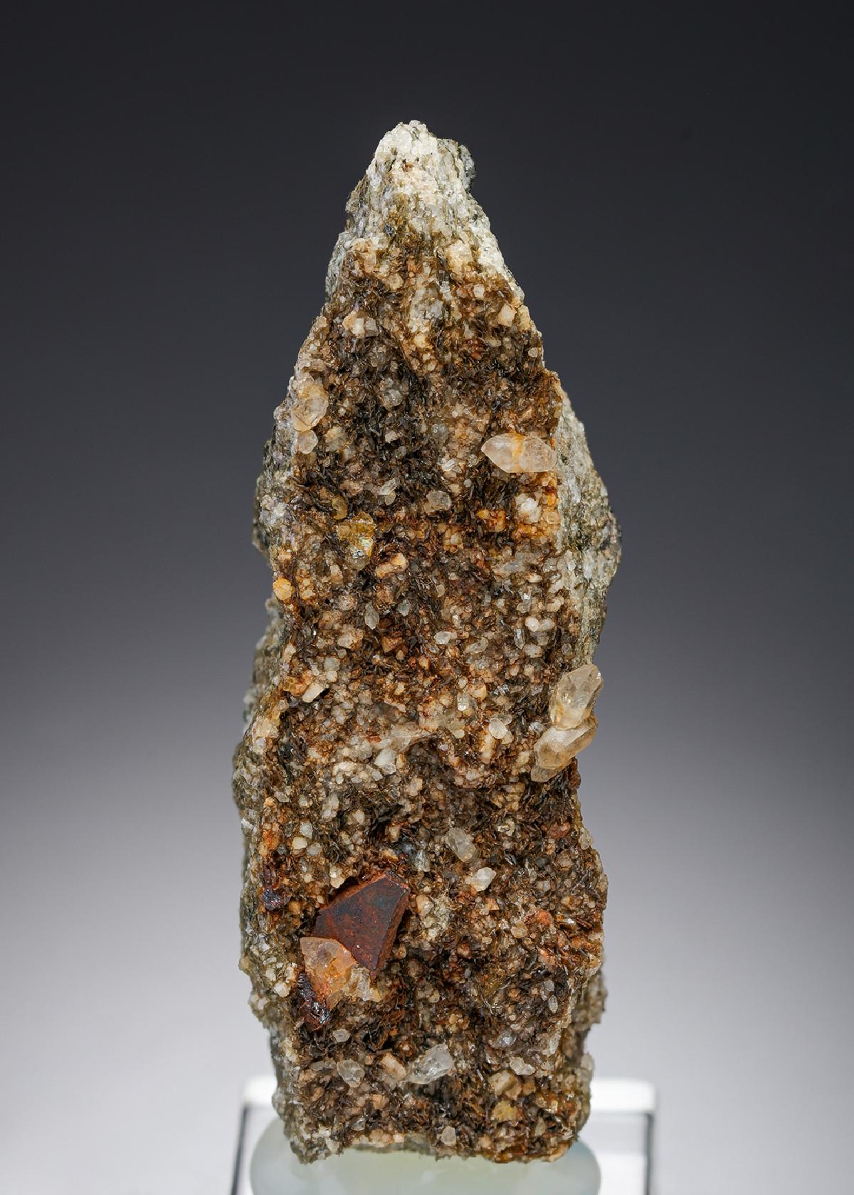 CC27439 specimen image