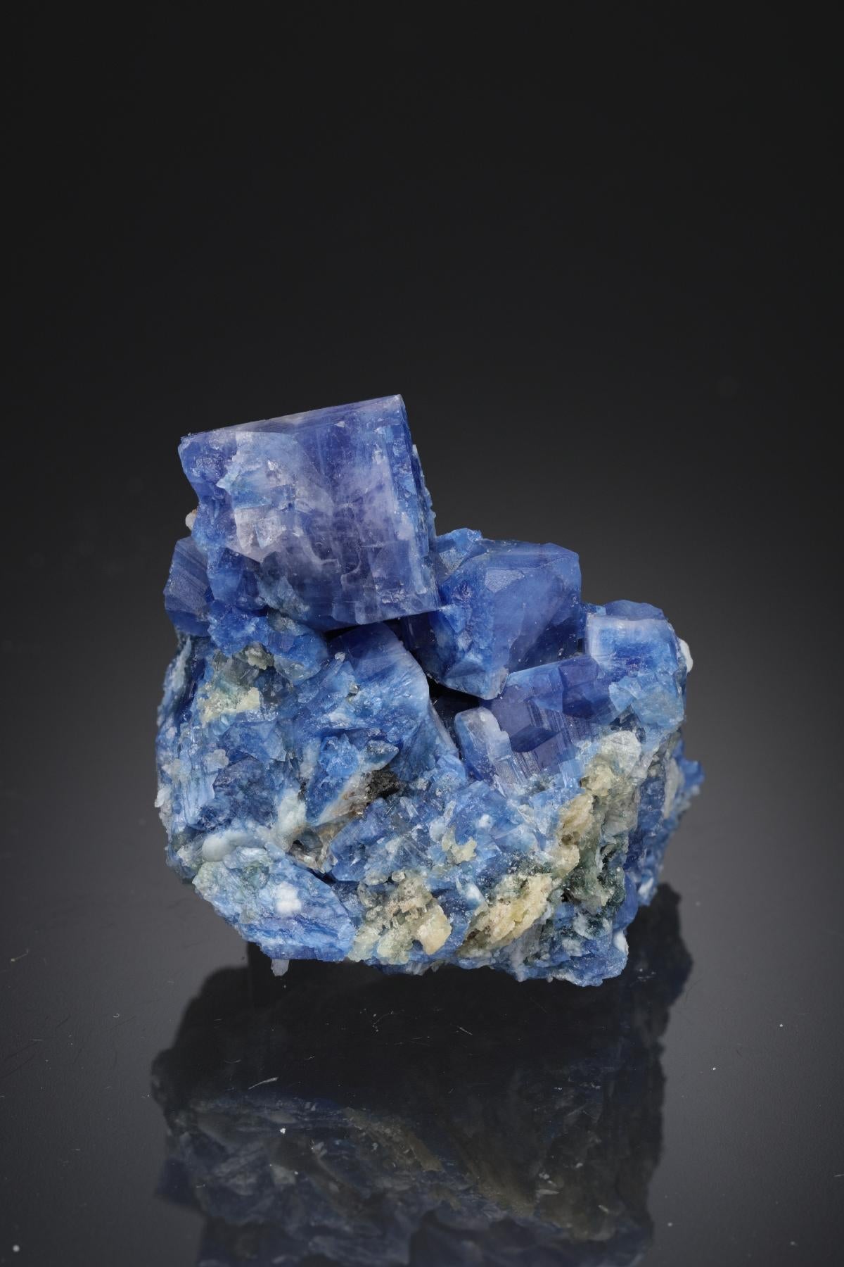 CC27443 specimen image