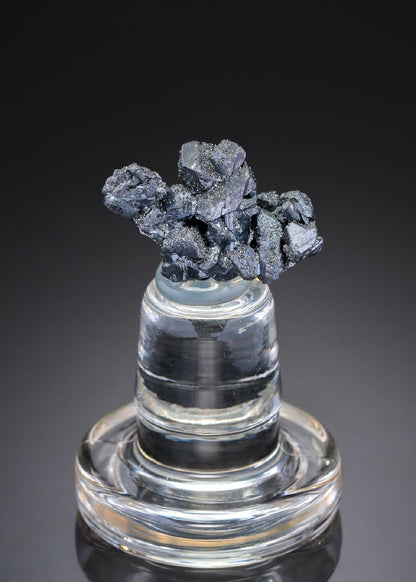 CC27445 specimen image