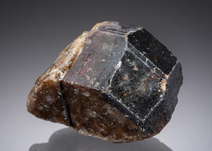 CC27447 specimen image