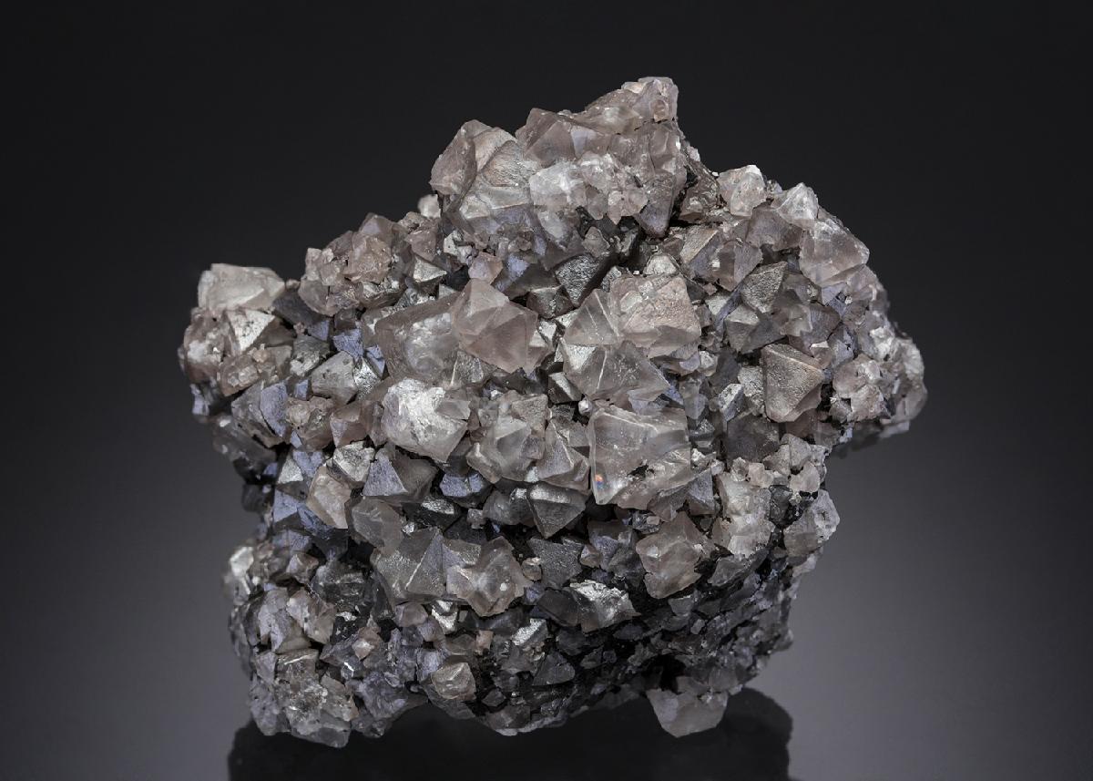 CC27453 specimen image