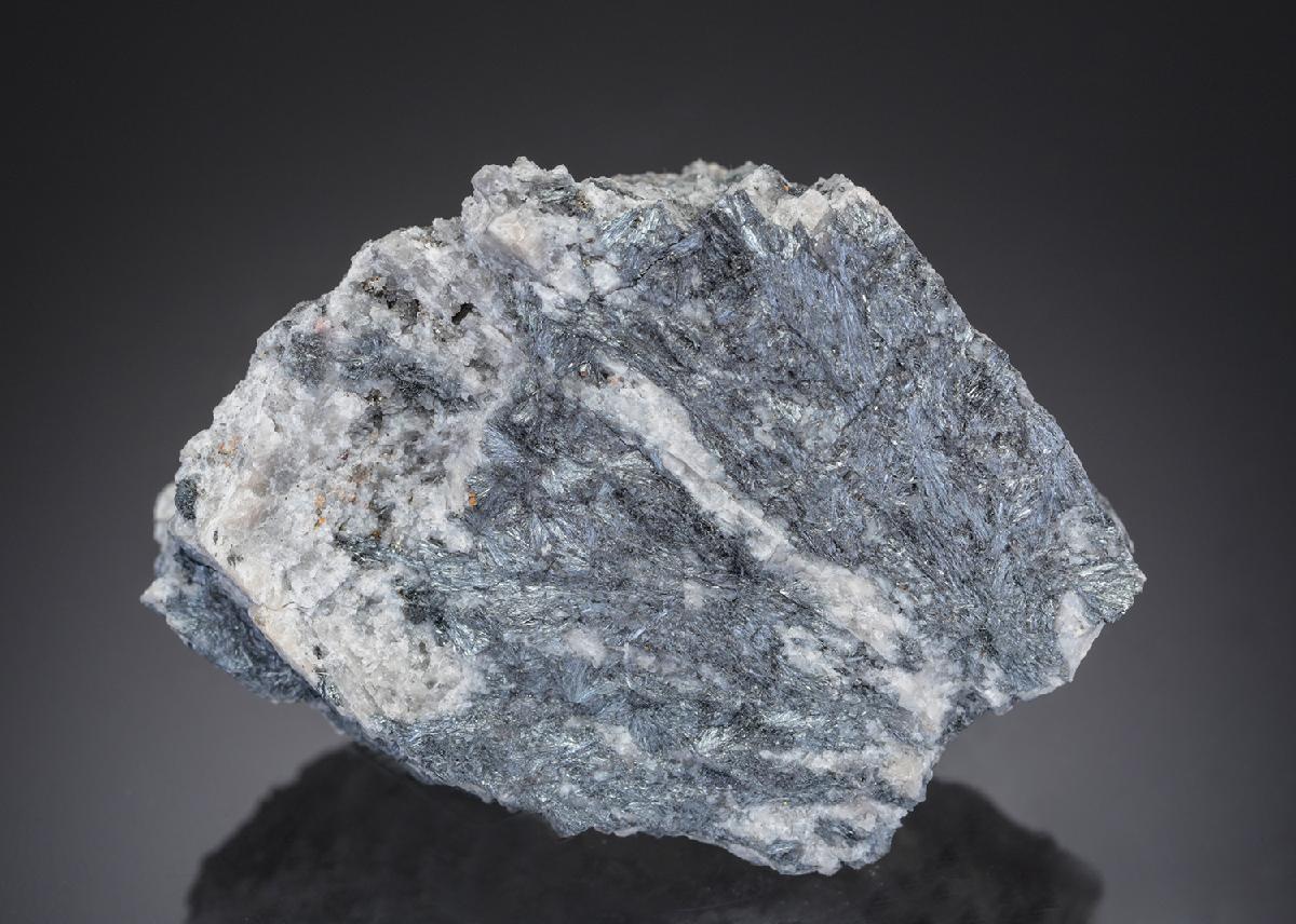 CC27465 specimen image