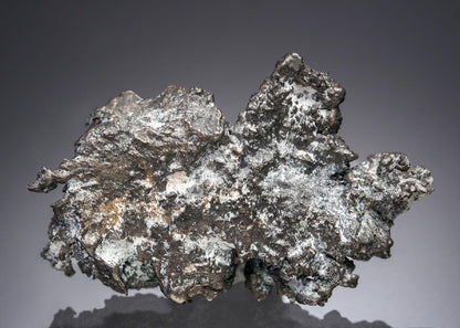 CC27479 specimen image