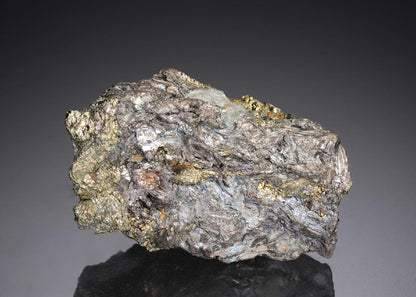 CC27481 specimen image