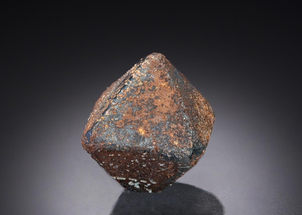 CC27485 specimen image