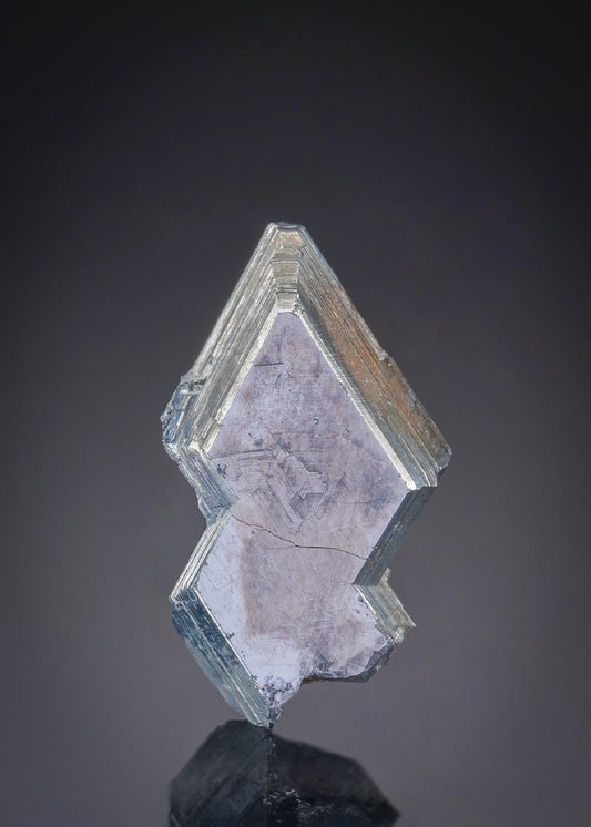 CC27489 specimen image