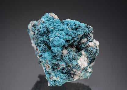 CC27491 specimen image