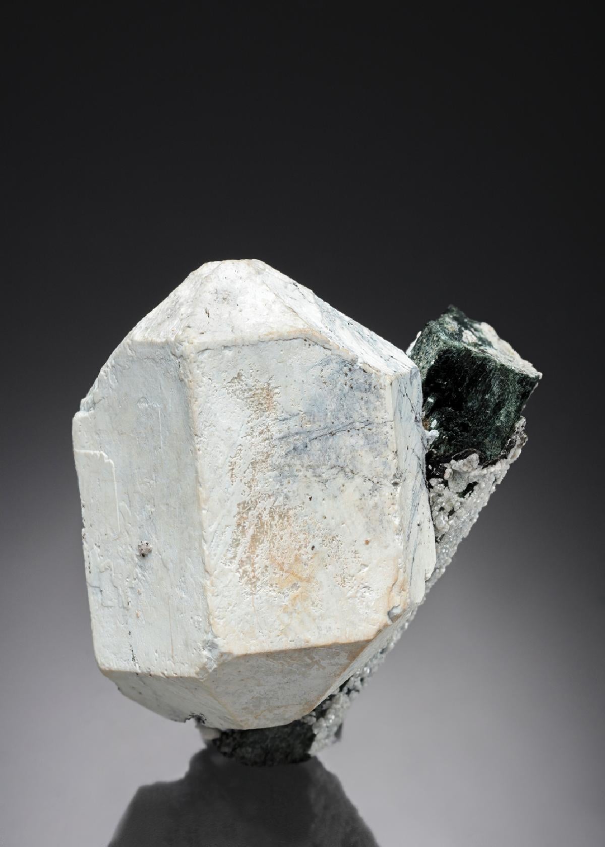 CC27505 specimen image