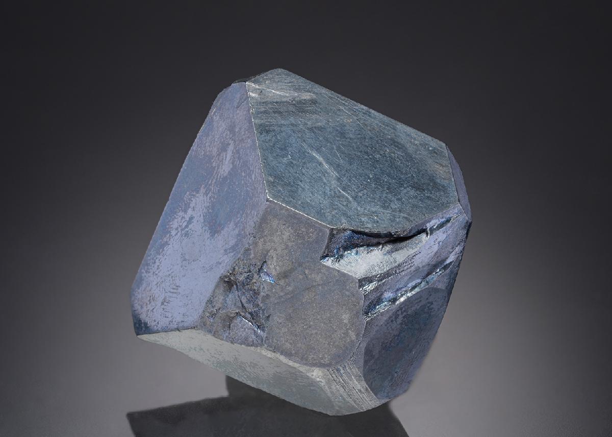 CC27509 specimen image