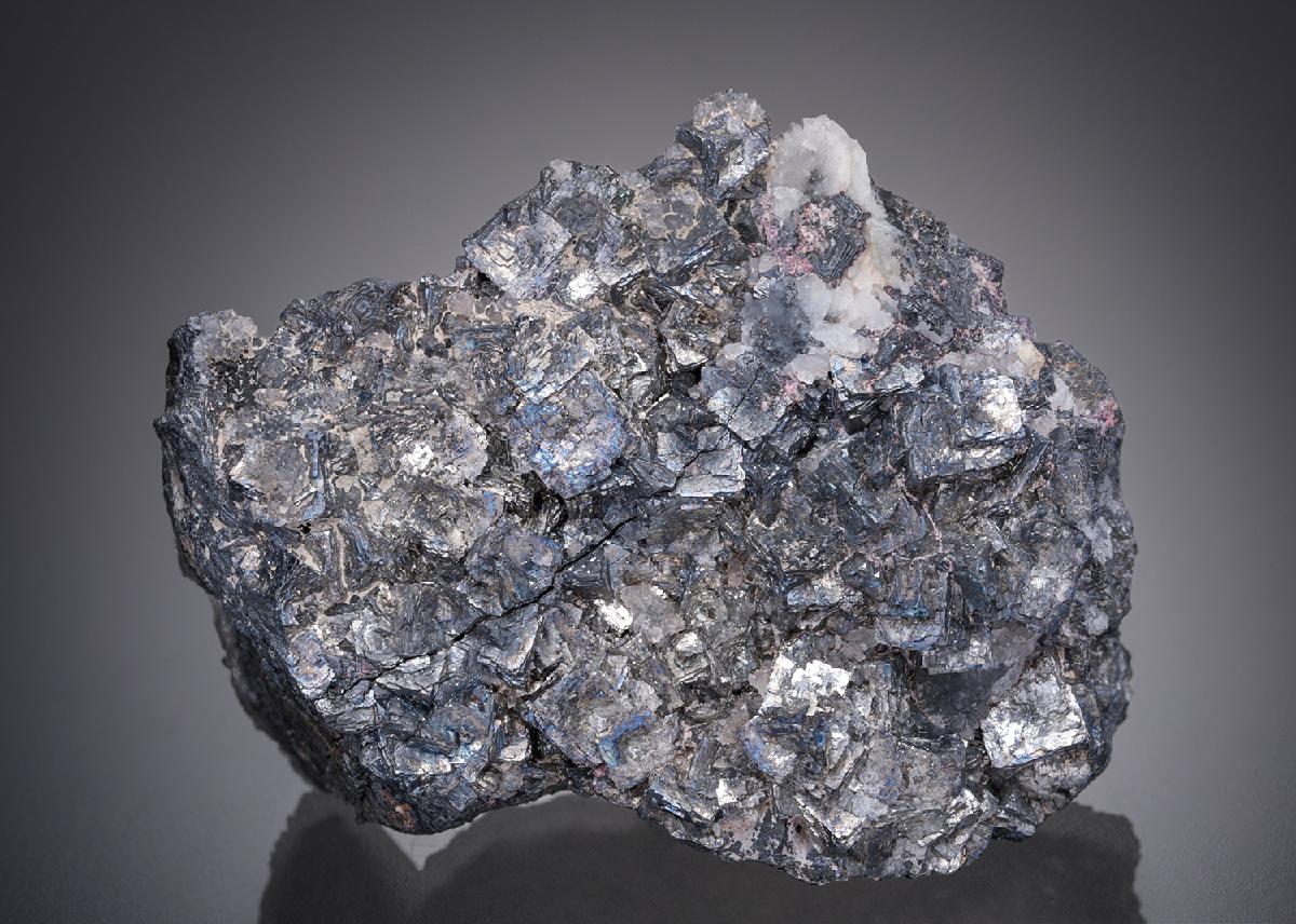 CC27525 specimen image