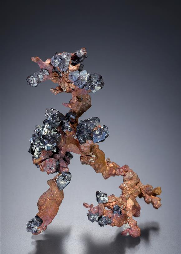 CC2753 specimen image