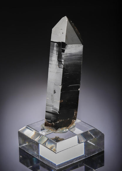 CC27537 specimen image