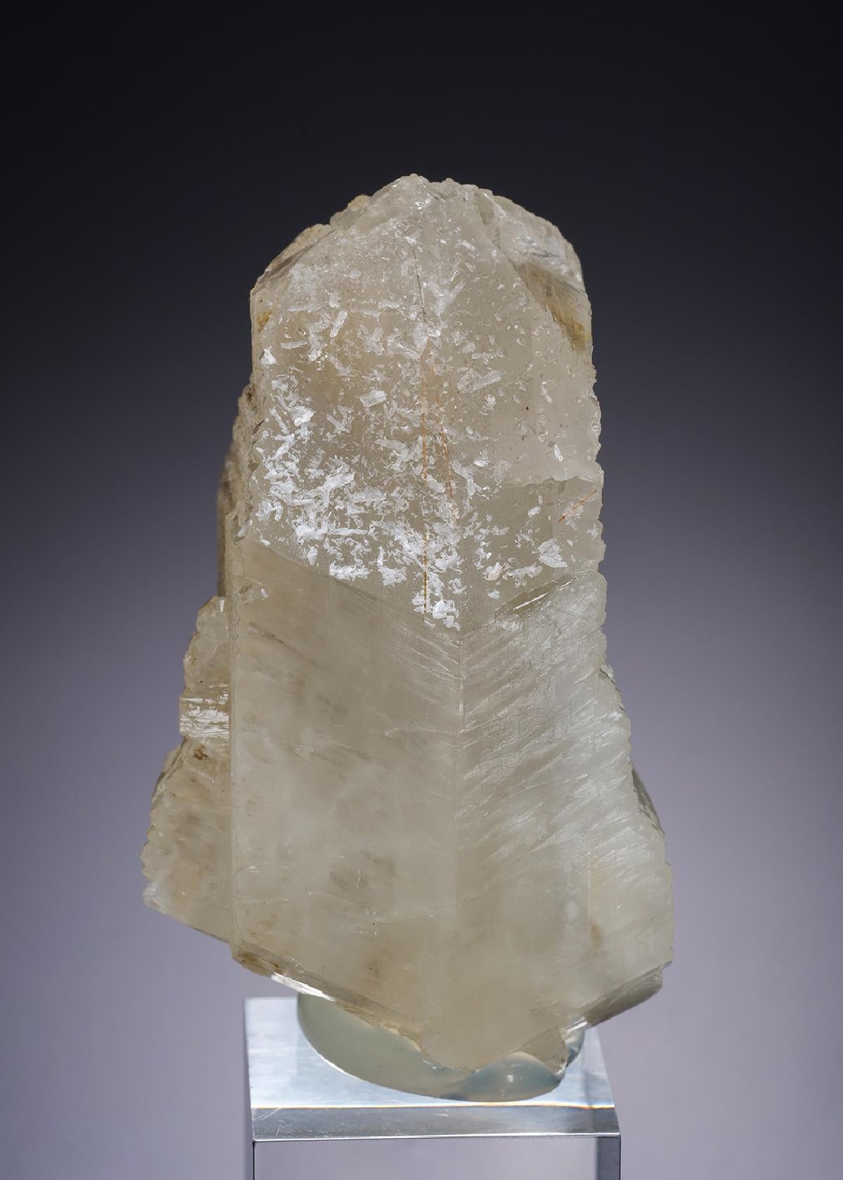 CC27539 specimen image