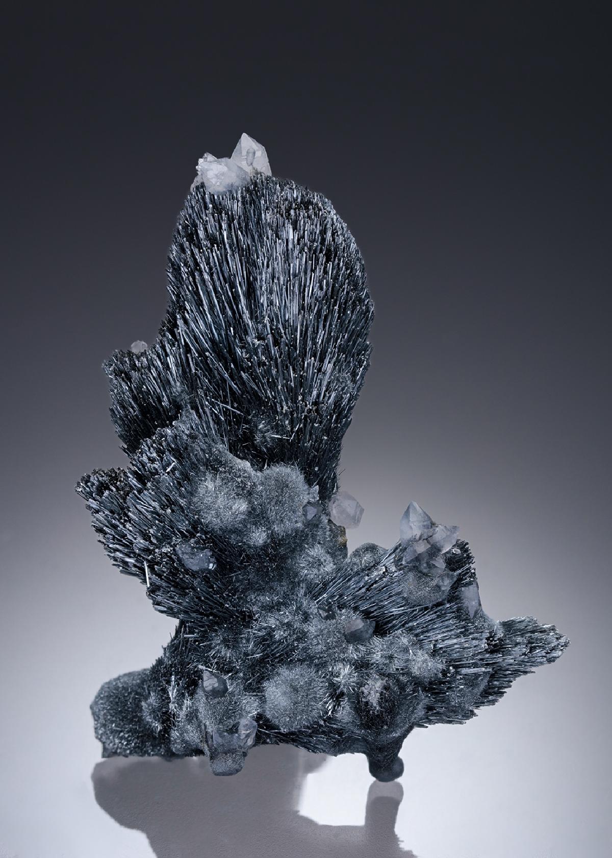 CC27553 specimen image