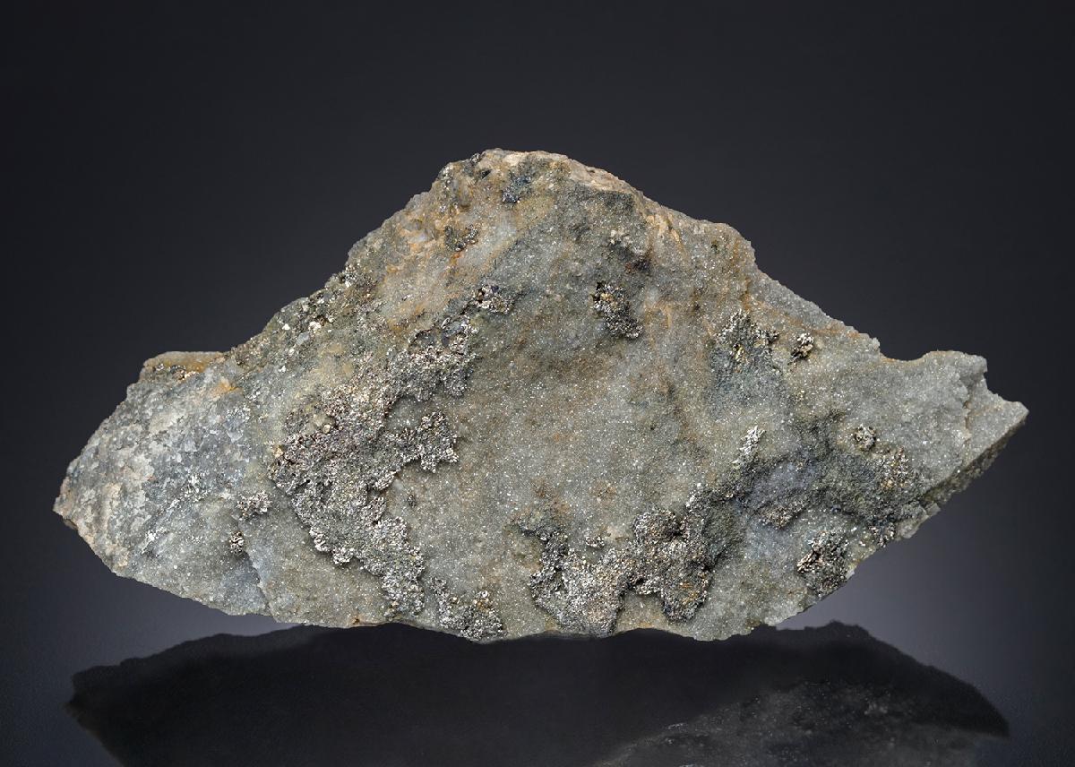 CC27559 specimen image