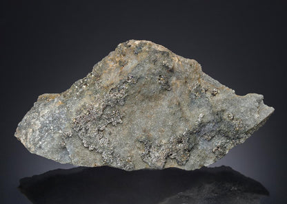 CC27559 specimen image