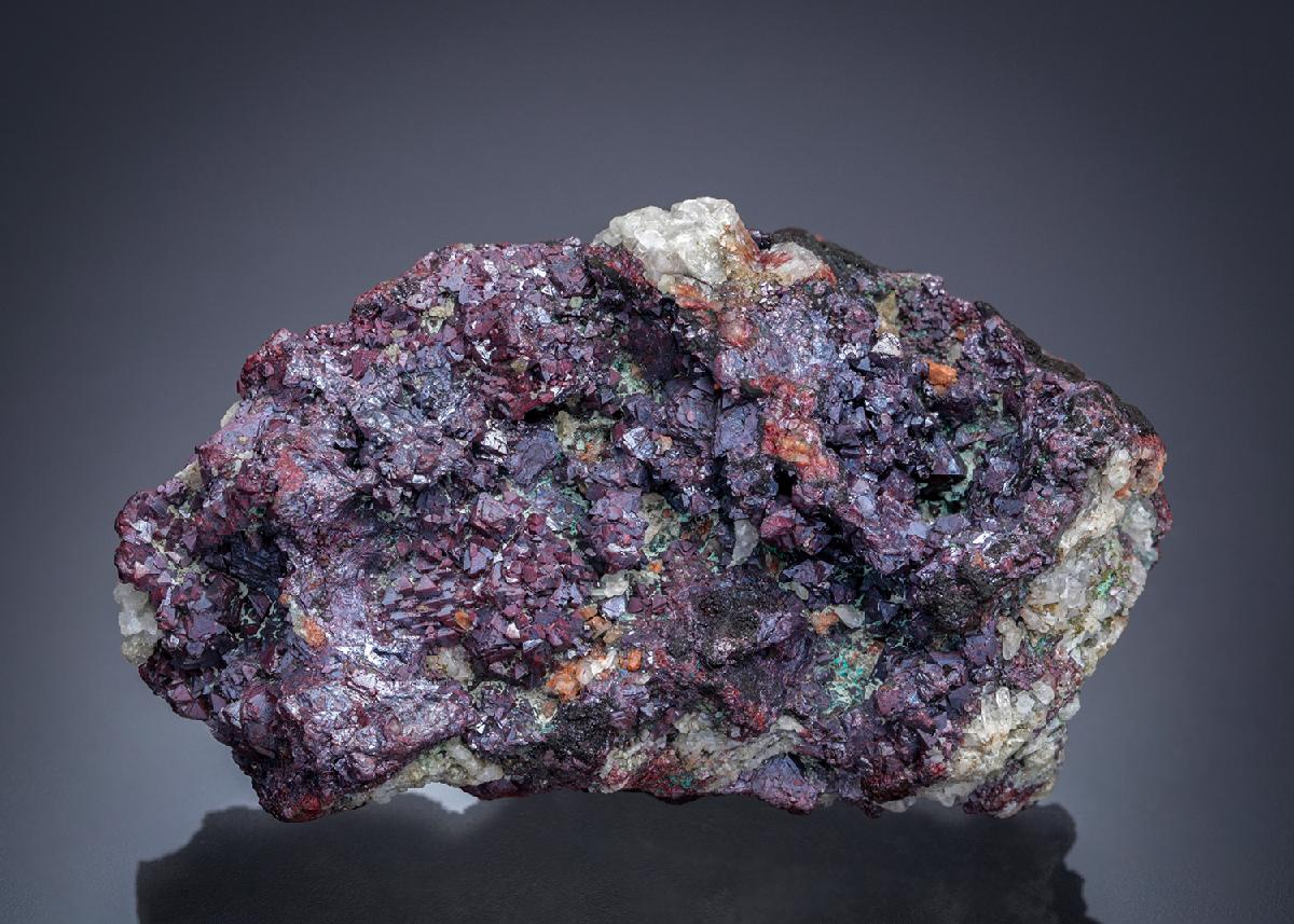 CC27567 specimen image