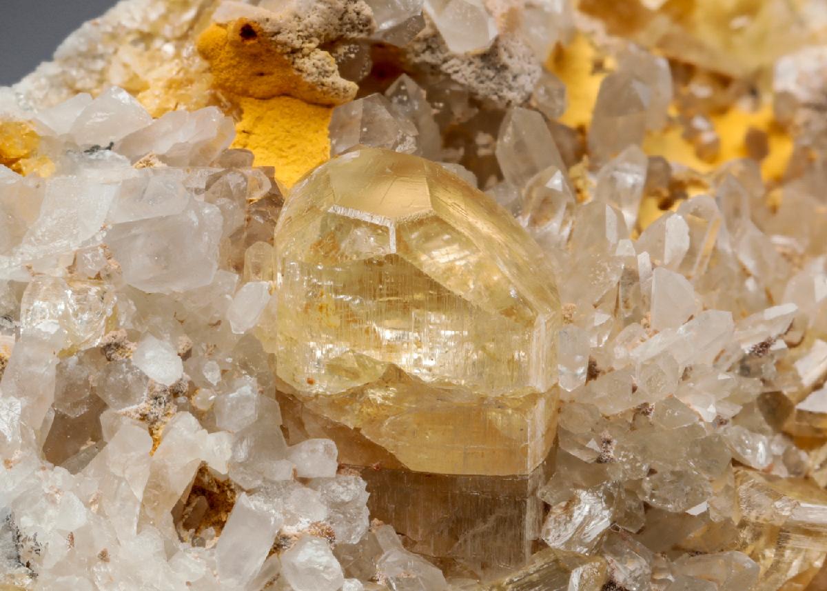 CC27573 specimen image