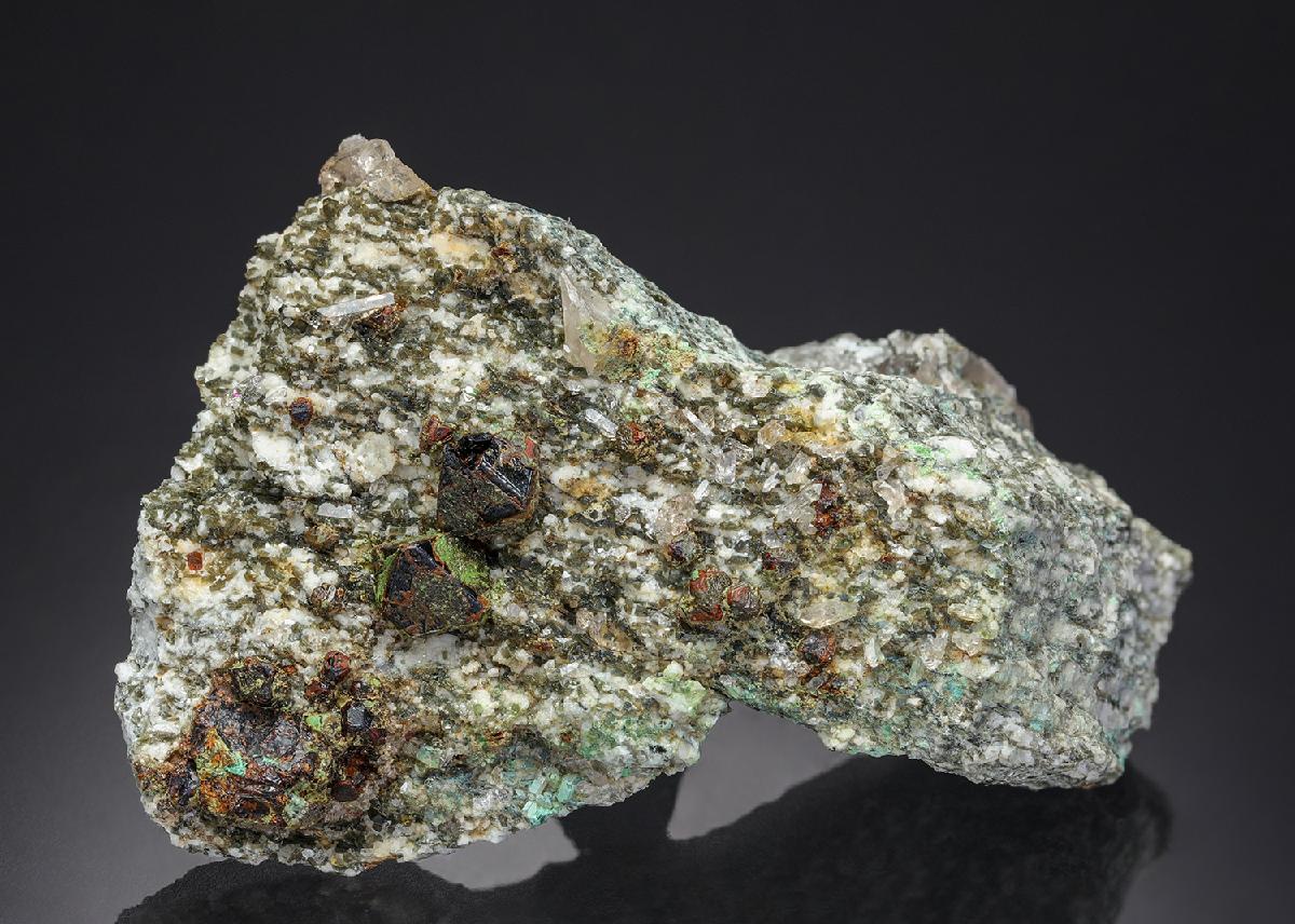 CC27593 specimen image