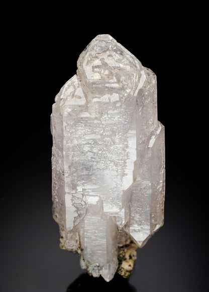 CC27595 specimen image
