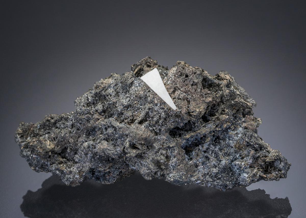 CC27607 specimen image