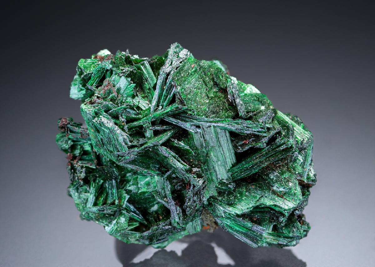 CC27611 specimen image