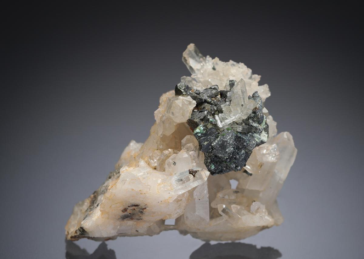 CC27617 specimen image