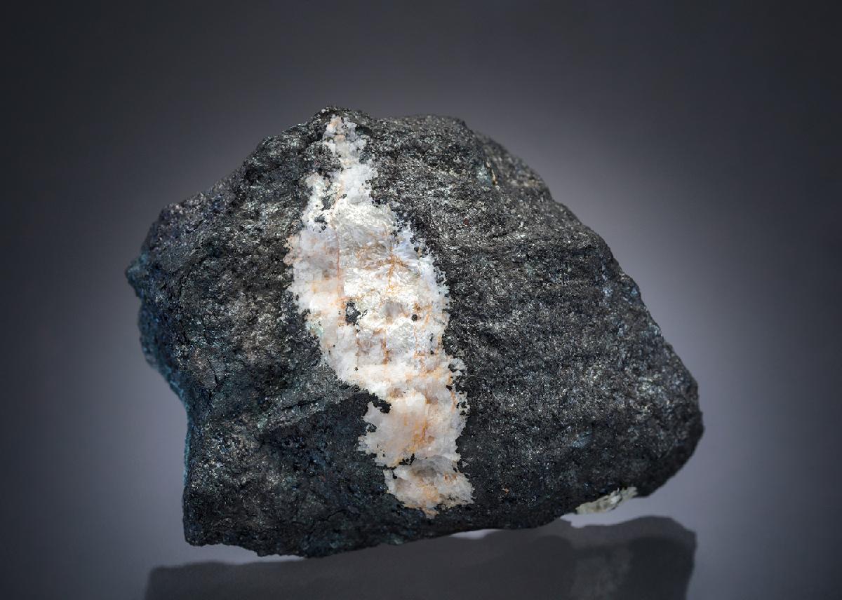CC27619 specimen image