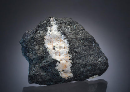 CC27619 specimen image