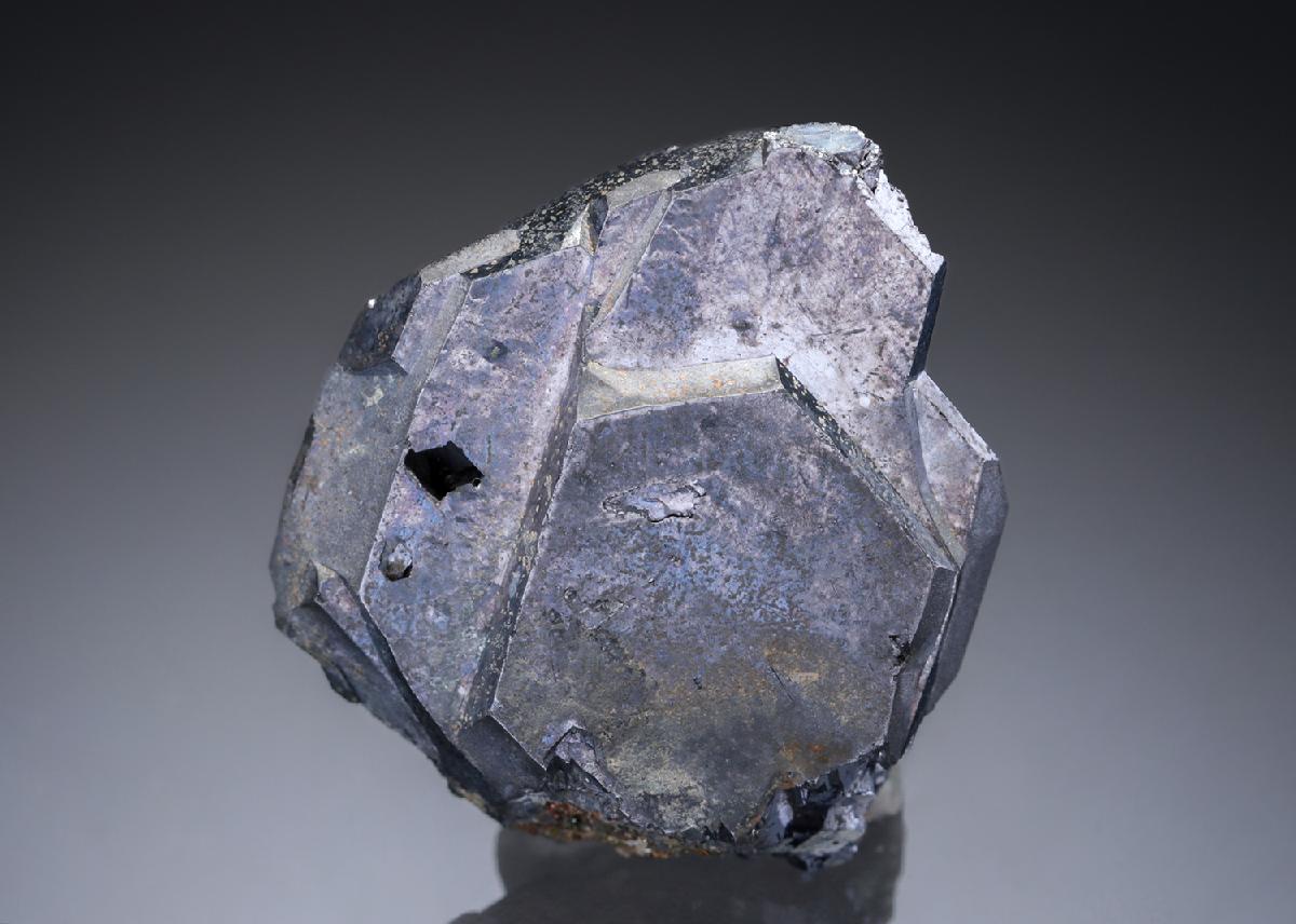 CC27631 specimen image