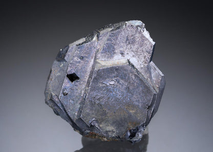 CC27631 specimen image